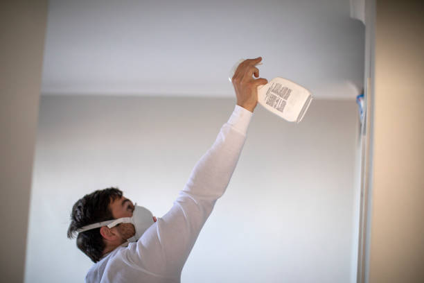 Best Professional Mold Removal  in Boling, TX