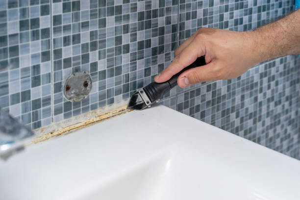Mold Removal Process in Boling, TX