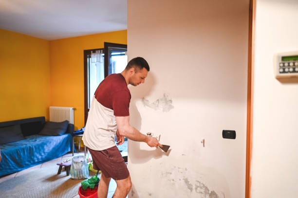 Best Mold Cleaning Services  in Boling, TX